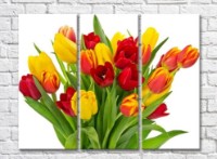 Картина Rainbow Yellow red orange tulip bouquet (500279)