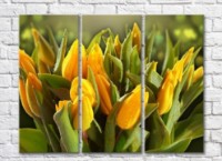 Pictură Rainbow Yellow tulips and green leaves (500293)