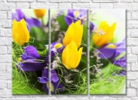 Pictură Rainbow Yellow tulips and lilac irises (500294)