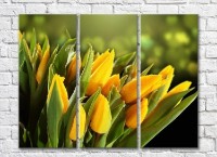 Pictură Rainbow Yellow tulips covered with dew (3448888)