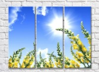 Pictură Rainbow Yellow wildflowers against the sky (500290)