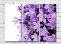 Картина Gallerix Lilac bells on a white background (500664)