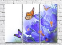 Картина Gallerix Lilac crocuses and orange butterfly (500665)