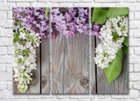 Картина Gallerix Lilac on a gray plank background (500668)