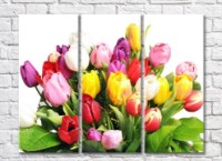Pictură Gallerix Lush bouquet of colorful tulips (500548)