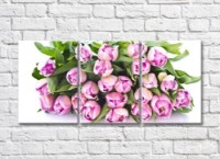 Pictură Gallerix Lush bouquet of lilac tulips (500552)