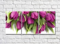 Pictură Gallerix Lush bouquet of purple tulips (500553)