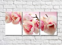 Pictură Gallerix Lush branch of pink magnolia (500542)