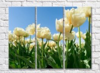 Pictură Gallerix Lush cream tulip flowers (500545)