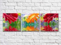 Pictură Gallerix Multi-colored gerbera flowers above the water (500565)