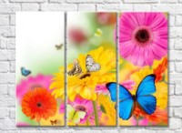 Pictură Gallerix Multicolored gerberas and butterflies (500559)