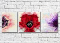 Картина Gallerix Multicolored poppies (3572583)