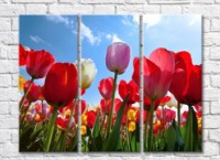 Pictură Gallerix Multicolored tulips against the sky (500563)