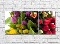 Pictură Gallerix Multicolored tulips in a basket (500560)