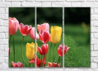 Pictură Gallerix Multicolored tulips in a flower bed (500564)