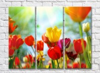 Pictură Gallerix Multicolored tulips in the sun (500561)