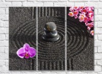 Картина Gallerix Orchid flower and sakura on black sand background (500789)