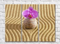 Картина Gallerix Orchid flower on a stone against a background of sand (500790)