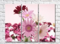 Pictură Gallerix Pink burgundy and white gerberas (500603)