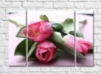 Pictură Gallerix Pink flowers on tulip leaves (500594)