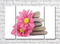 Картина Gallerix Pink gerbera flowers and flat stones (500774)