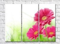 Pictură Gallerix Pink gerberas against green grass (500578)