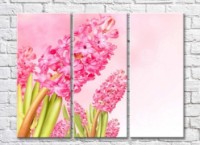 Pictură Gallerix Pink hyacinths on a light pink background (500579)