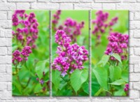 Pictură Gallerix Pink lilac flowers on green leaves background (500602)