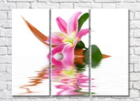 Картина Gallerix Pink lily flower by the water (500796)