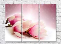 Pictură Gallerix Pink magnolia on a white background (3448910)