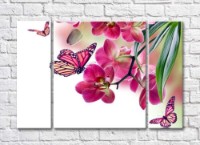 Pictură Gallerix Pink orchid and colorful butterflies (500574)
