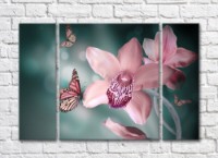 Pictură Gallerix Pink orchid flowers and butterflies on an emerald background (500773)