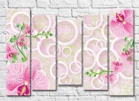 Pictură Gallerix Pink orchids and white circles on a pink background (3551904)