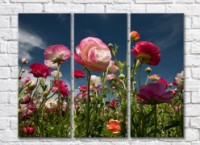 Pictură Gallerix Pink peonies against the sky (500584)