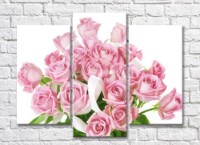 Pictură Gallerix Pink roses in a bouquet on a white background (500585)