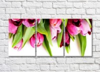 Pictură Gallerix Pink tulip flowers and green leaves (500596)