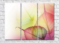 Pictură Gallerix Pink transparent leaves (3448913)