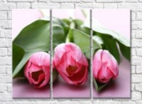 Pictură Gallerix Pink tulip flowers on a background of leaves (500598)