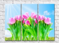 Pictură Gallerix Pink tulips against a sunny sky (500590)