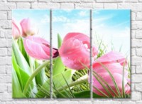 Pictură Gallerix Pink tulips in the grass against the sky (500592)