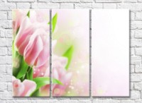 Pictură Gallerix Pink tulips on a light shimmering background (500589)
