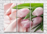Pictură Gallerix Pink tulips on silk (500591)