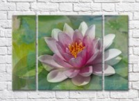 Pictură Gallerix Pink water lily on an abstract green background (500570)