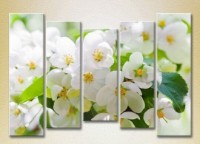 Картина Gallerix Polyptych Apple Blossom 05 (2932893)