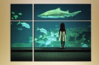 Картина Gallerix Polyptych aquarium (1409662)