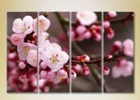 Картина Gallerix Polyptych Blooming branch (2932367)