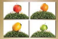 Pictură Gallerix Polyptych fruit (1547238)