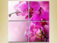 Картина Gallerix Polyptych Purple Orchids (2932361)