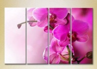 Картина Gallerix Polyptych Purple Orchids 01 (2932363)