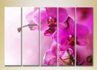 Картина Gallerix Polyptych Purple Orchids 02 (2932889)